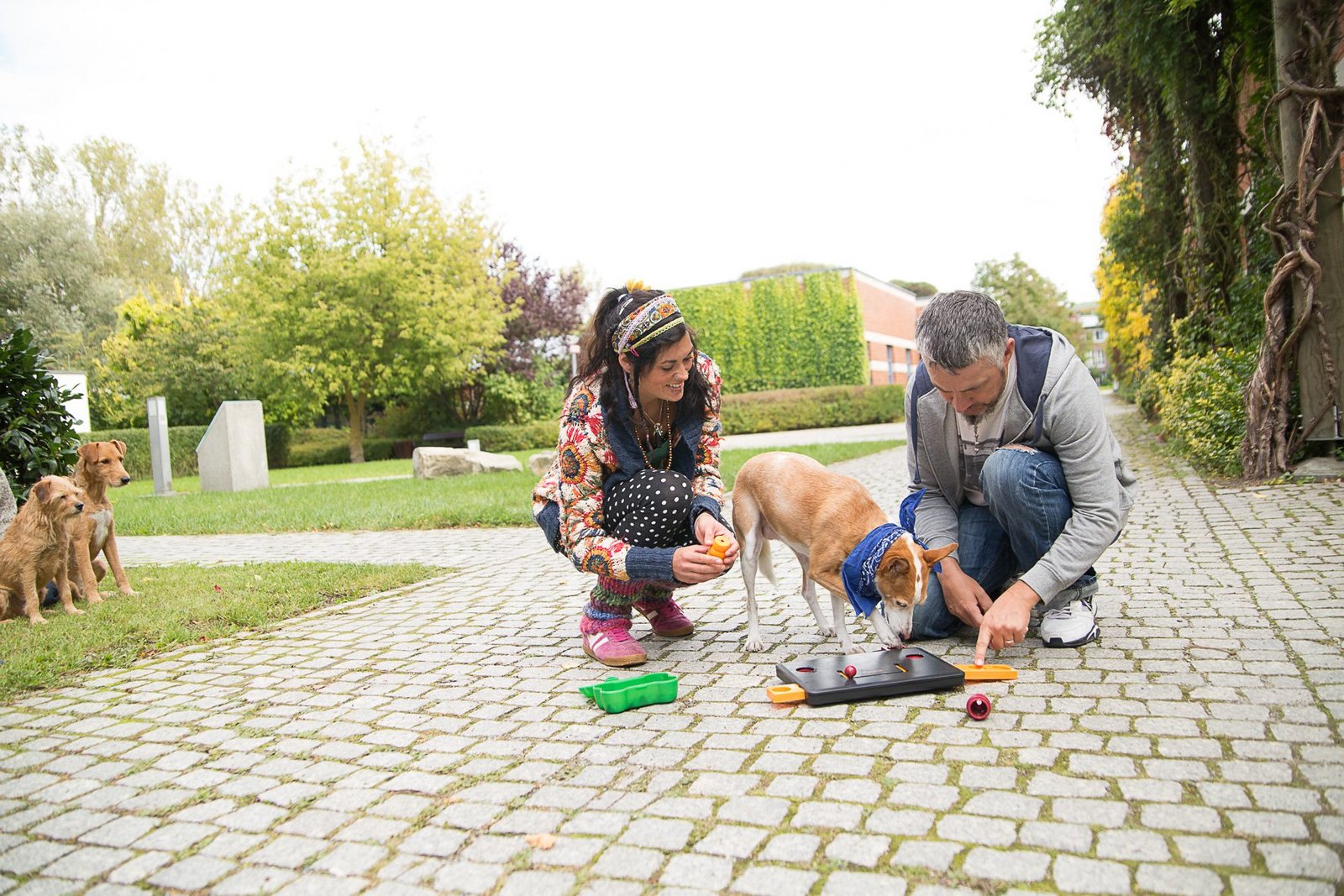 Hundetherapie